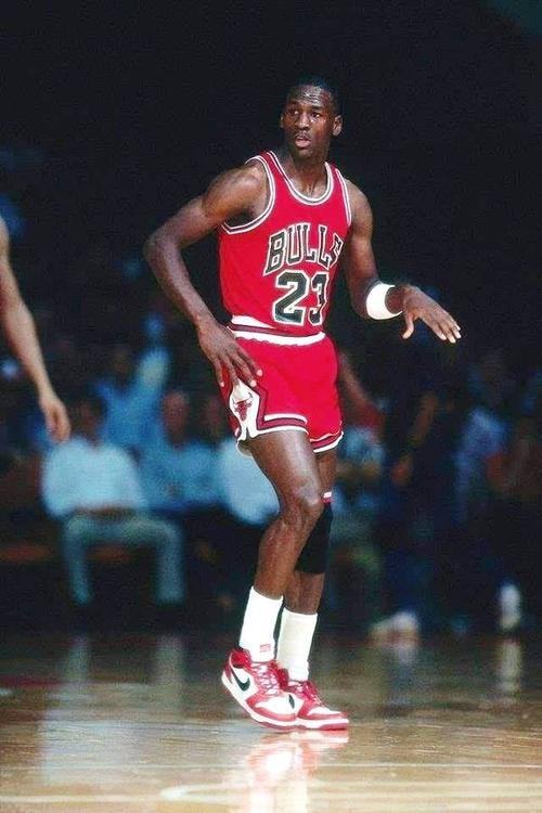 赢得总冠军 赢得总冠军