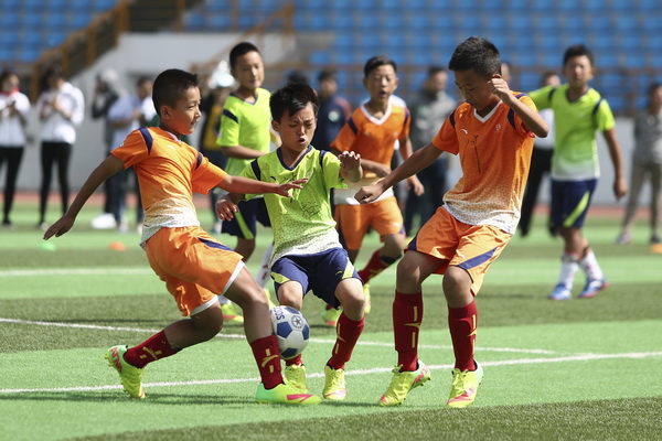 趋势与展望 趋势与展望