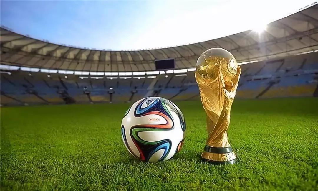 球员画像与 球员画像与